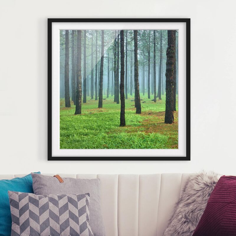 

Póster enmarcado - Deep Forest With Pine Trees On La Palma Dimensión LxA: 70cm x 70cm, Marco: Negro