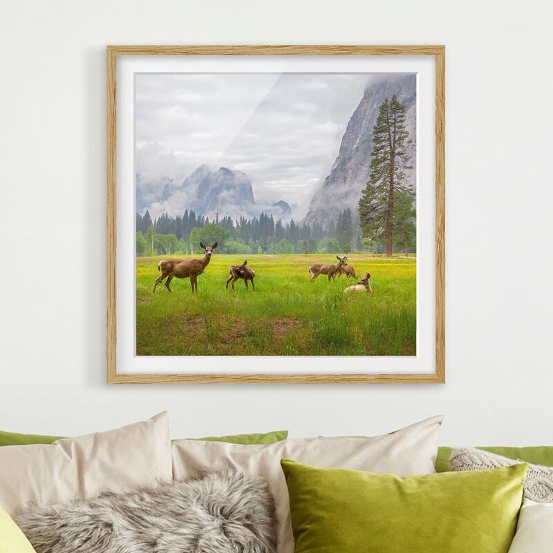 

Póster enmarcado - Deer In The Mountains Dimensión LxA: 20cm x 20cm, Marco: Roble