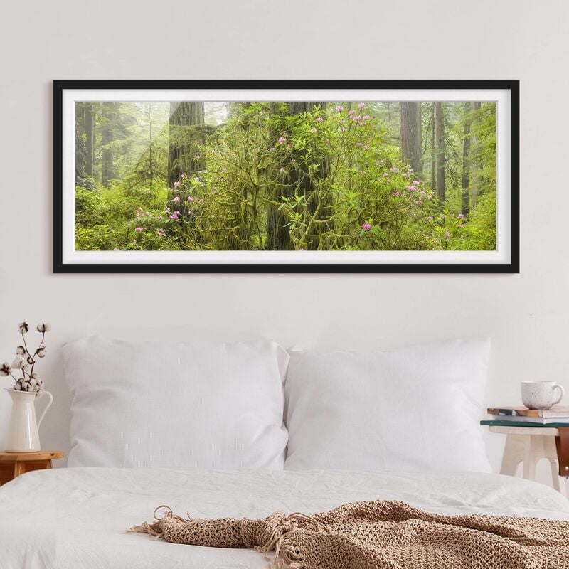 

Póster enmarcado - Del Norte Coast Redwoods State Park California Dimensión LxA: 20cm x 50cm, Marco: Negro