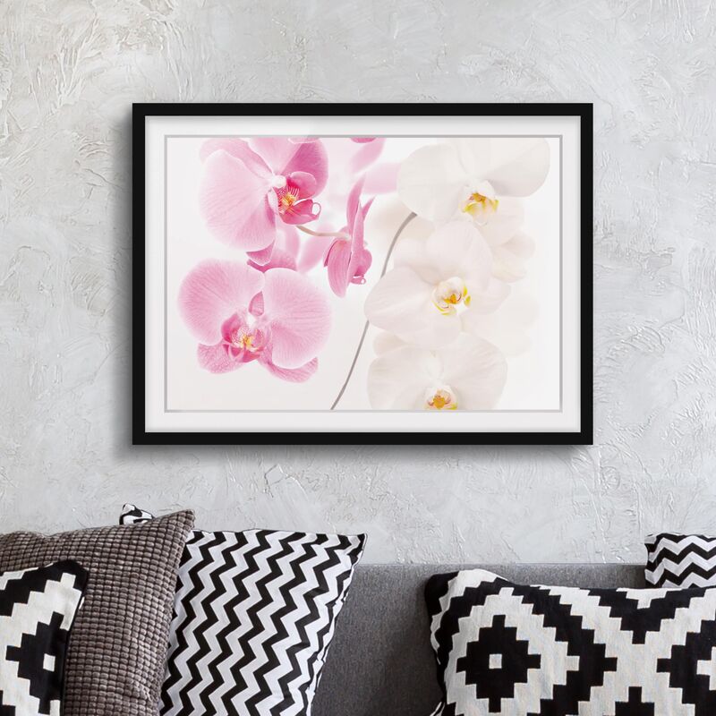 

Póster enmarcado - Delicate Orchids Dimensión LxA: 50cm x 70cm, Marco: Negro