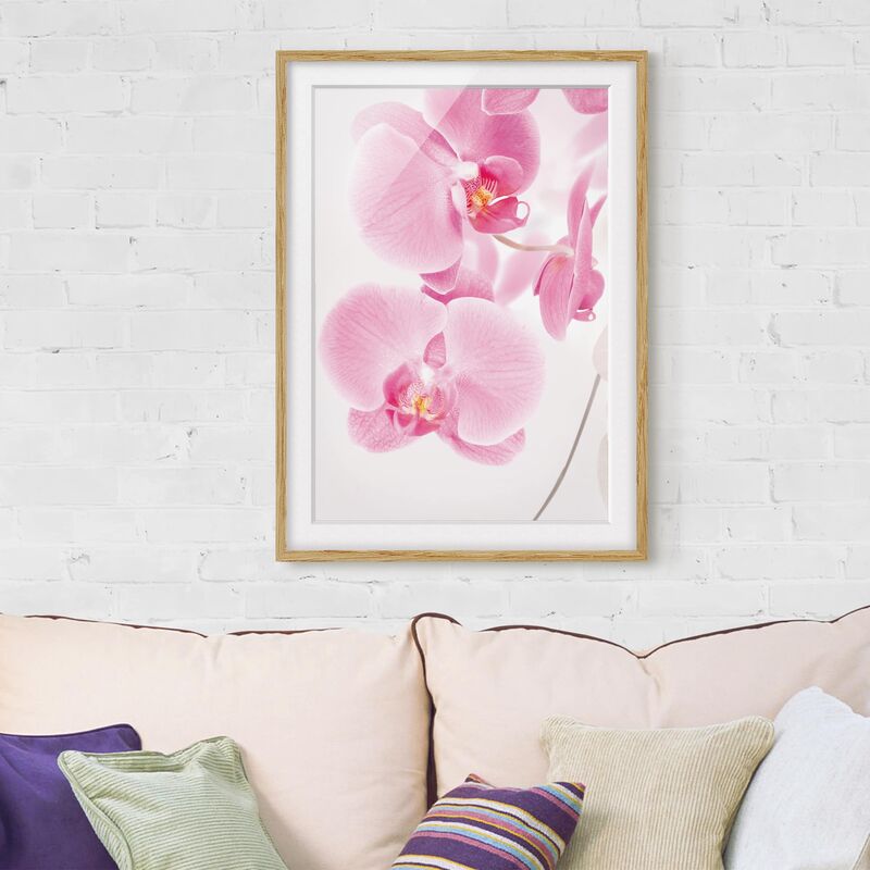 

Póster enmarcado - Delicate Orchids Dimensión LxA: 100cm x 70cm, Marco: Roble