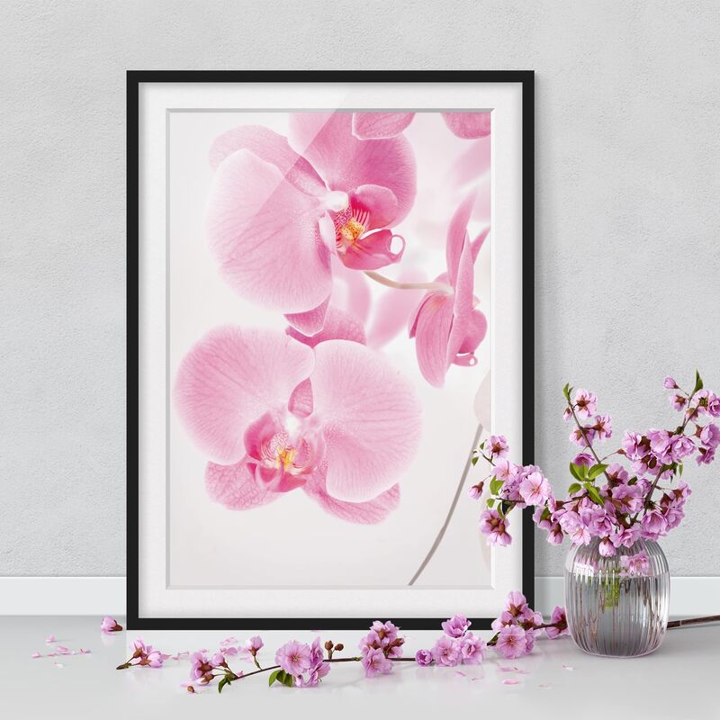 

Póster enmarcado - Delicate Orchids Dimensión LxA: 100cm x 70cm, Marco: Negro
