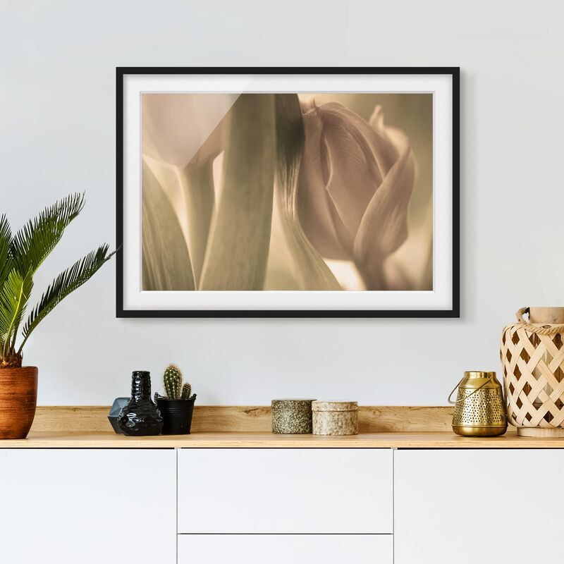 

Póster enmarcado - Delicate Tulips Dimensión LxA: 18cm x 24cm, Marco: Negro