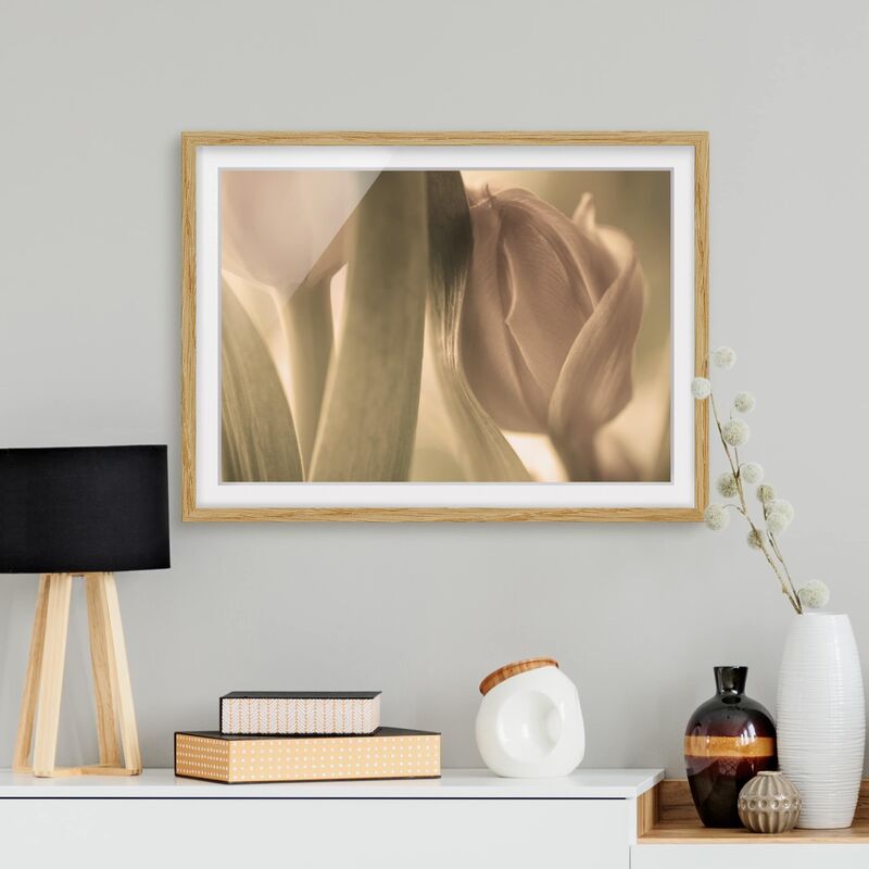 

Póster enmarcado - Delicate Tulips Dimensión LxA: 50cm x 70cm, Marco: Roble