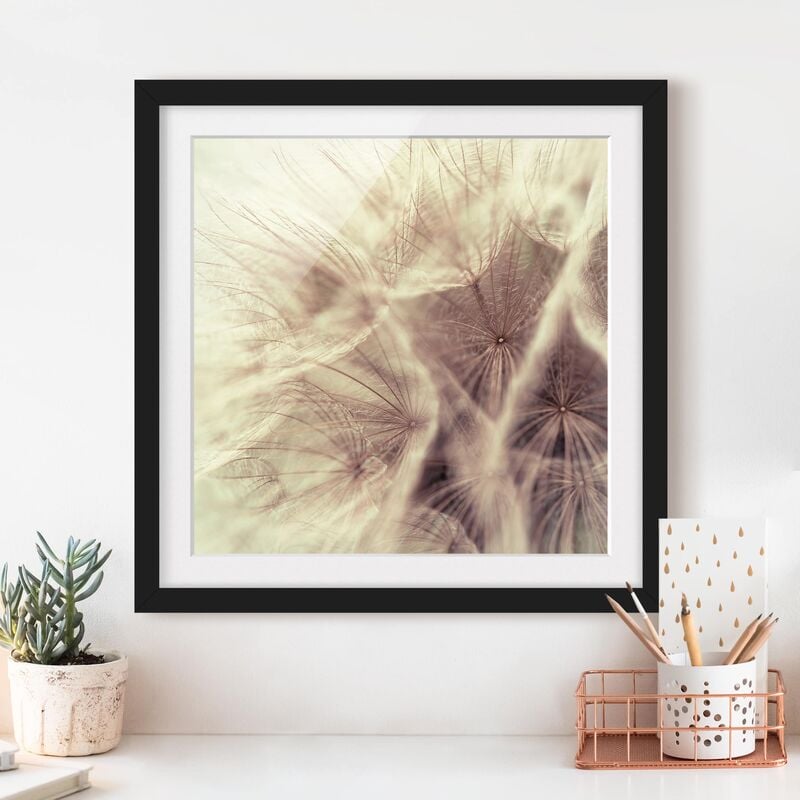 

Póster enmarcado - Detailed And Dandelion Macro Shot With Vintage Blur Effect Dimensión LxA: 70cm x 70cm, Marco: Negro