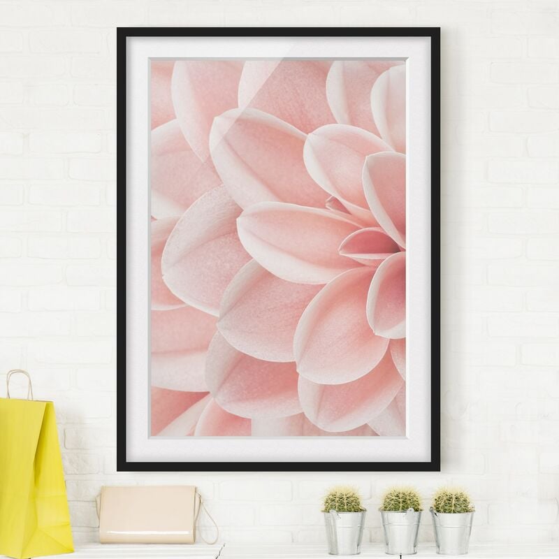 

Póster enmarcado - Dettaglio di dalia con petali rosa Dimensión LxA: 70cm x 50cm, Marco: Negro