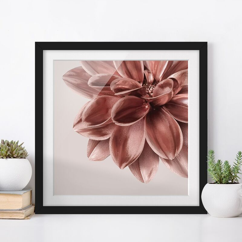 

Póster enmarcado - Dettaglio di dalia in oro rosa metallico Dimensión LxA: 30cm x 30cm, Marco: Negro
