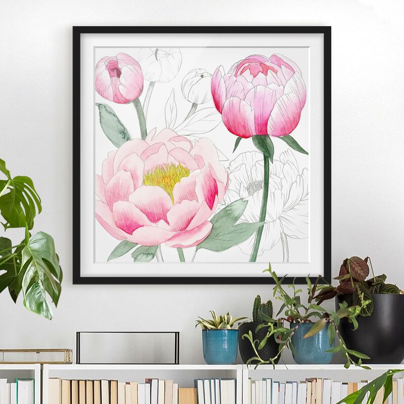 

Póster enmarcado - Disegno Pink Peony II Dimensión LxA: 30cm x 30cm, Marco: Negro