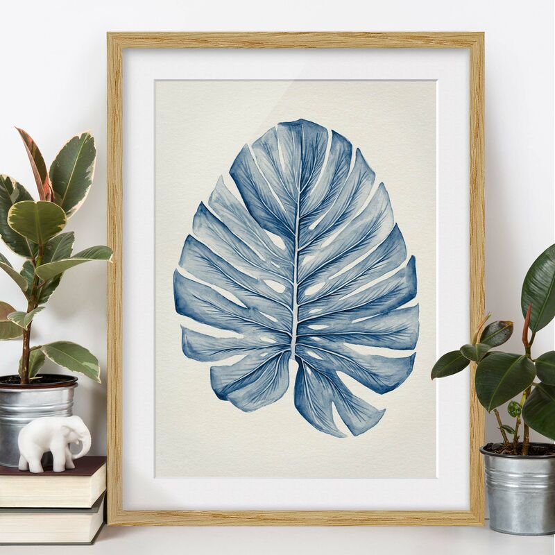 

Póster enmarcado - Disegno tropicale Monstera In Indigo Dimensión LxA: 70cm x 50cm, Marco: Roble