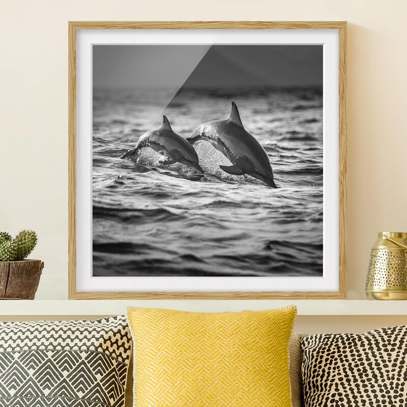 

Póster enmarcado - Due delfini che saltano Dimensión LxA: 70cm x 70cm, Marco: Roble