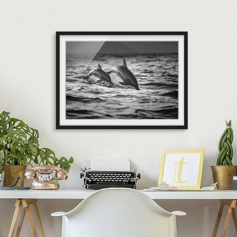 

Póster enmarcado - Due delfini che saltano Dimensión LxA: 70cm x 100cm, Marco: Negro