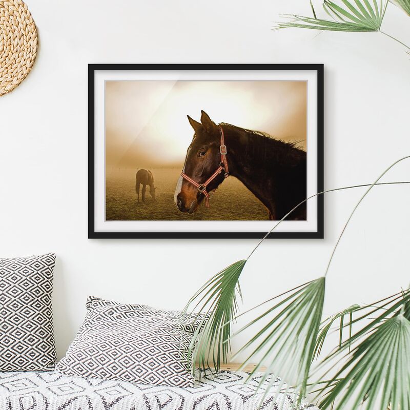 

Póster enmarcado - Early Horse Dimensión LxA: 70cm x 100cm, Marco: Negro