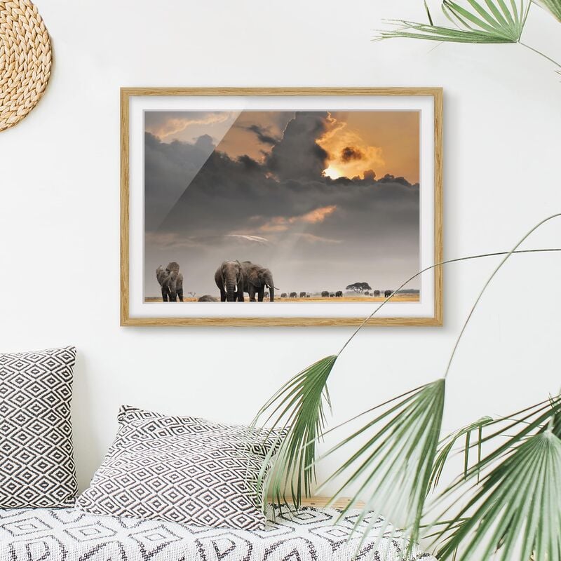 

Póster enmarcado - Elephant Savanna Dimensión LxA: 40cm x 55cm, Marco: Roble