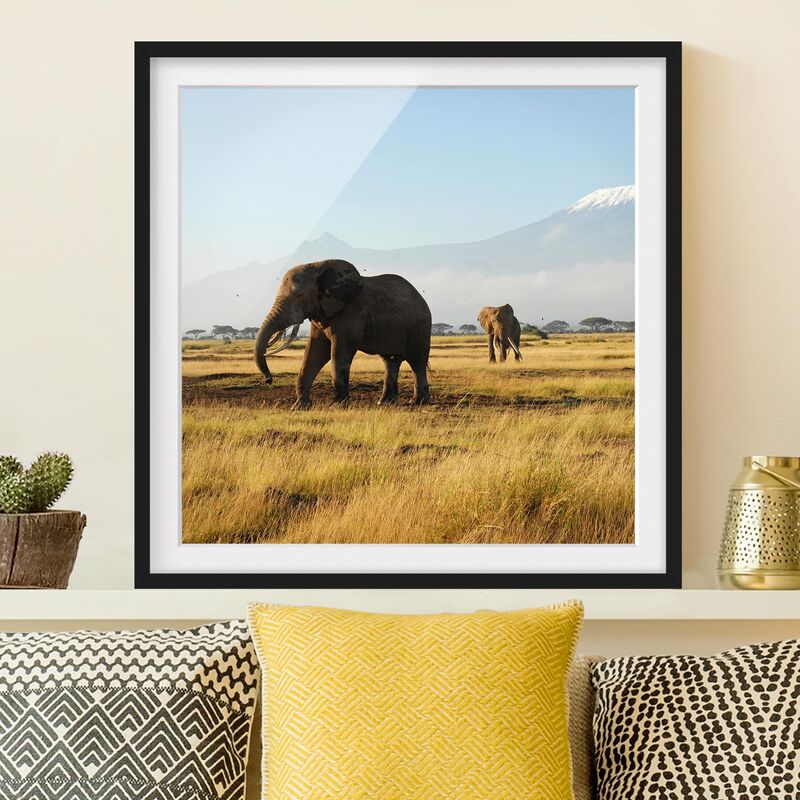 

Póster enmarcado - Elephants In Front Of The Kilimanjaro In Kenya Dimensión LxA: 20cm x 20cm, Marco: Negro