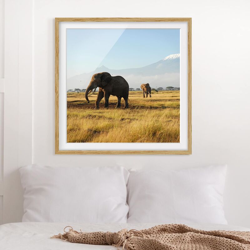 

Póster enmarcado - Elephants In Front Of The Kilimanjaro In Kenya Dimensión LxA: 20cm x 20cm, Marco: Roble