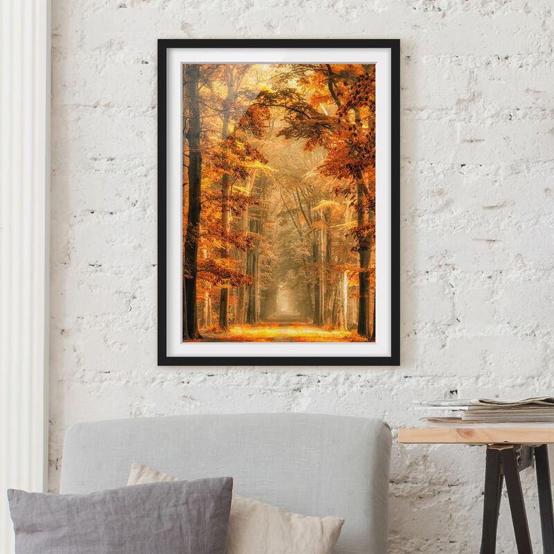

Póster enmarcado - Enchanted Forest In Autumn Dimensión LxA: 24cm x 18cm, Marco: Negro