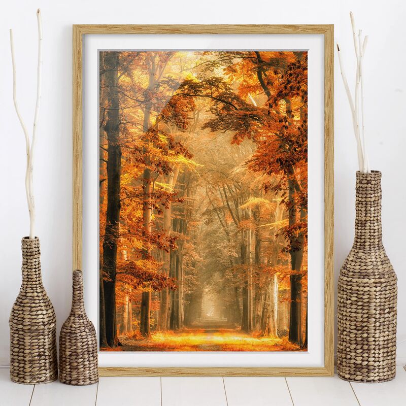 

Póster enmarcado - Enchanted Forest In Autumn Dimensión LxA: 55cm x 40cm, Marco: Roble