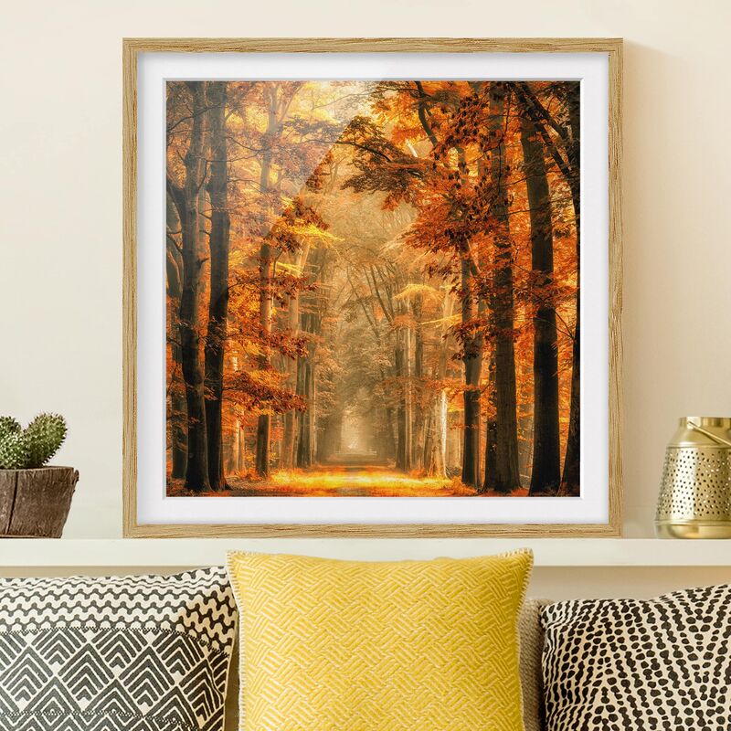 

Póster enmarcado - Enchanted Forest In Autumn Dimensión LxA: 30cm x 30cm, Marco: Roble