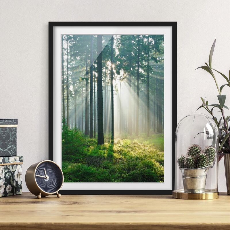 

Póster enmarcado - Enlightened Forest Dimensión LxA: 40cm x 30cm, Marco: Negro
