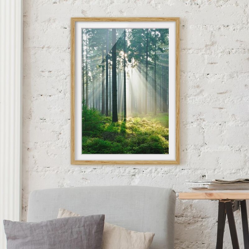 

Póster enmarcado - Enlightened Forest Dimensión LxA: 100cm x 70cm, Marco: Roble