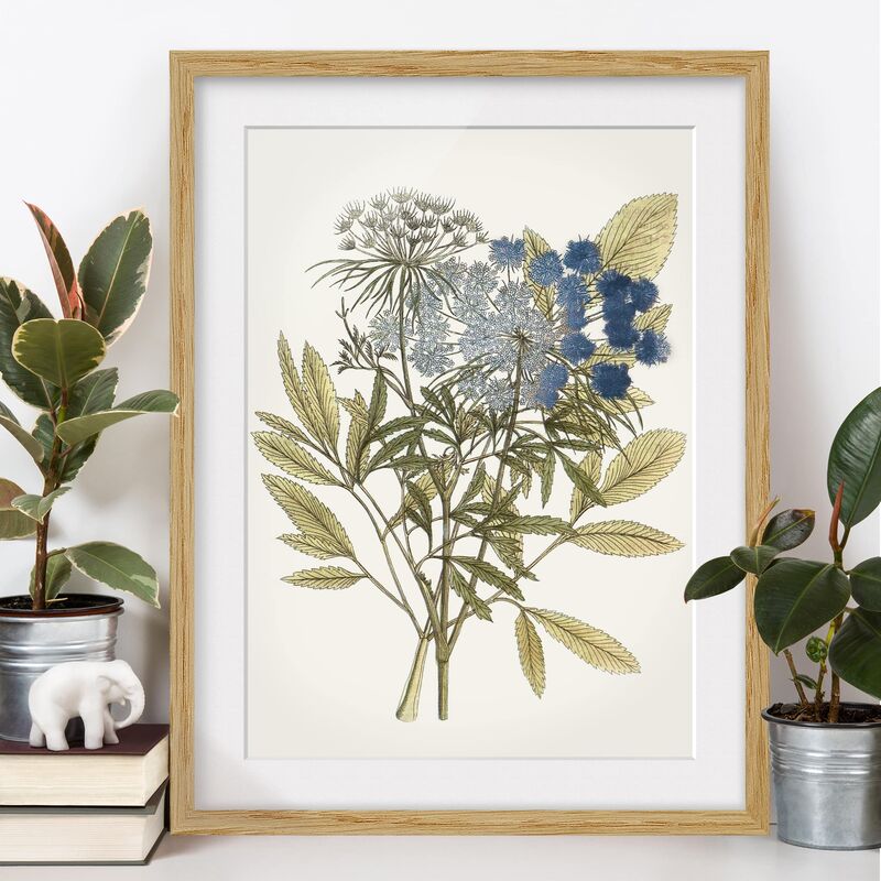 

Póster enmarcado - Erbe Selvatiche Schautfalel I Dimensión LxA: 24cm x 18cm, Marco: Roble