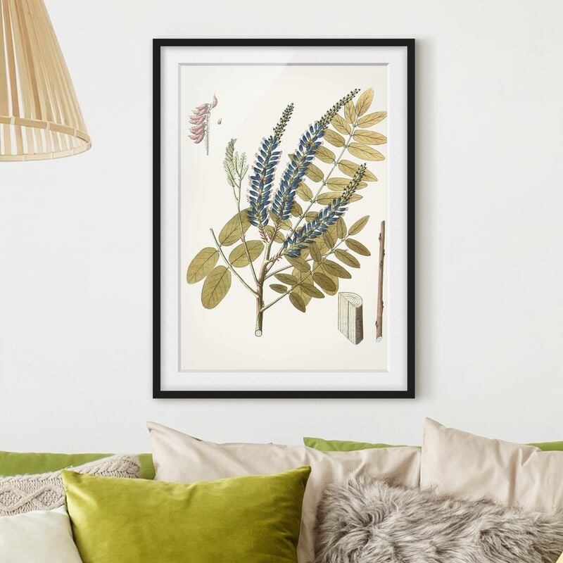 

Póster enmarcado - Erbe Selvatiche Schautfalel Ii Dimensión LxA: 70cm x 50cm, Marco: Negro