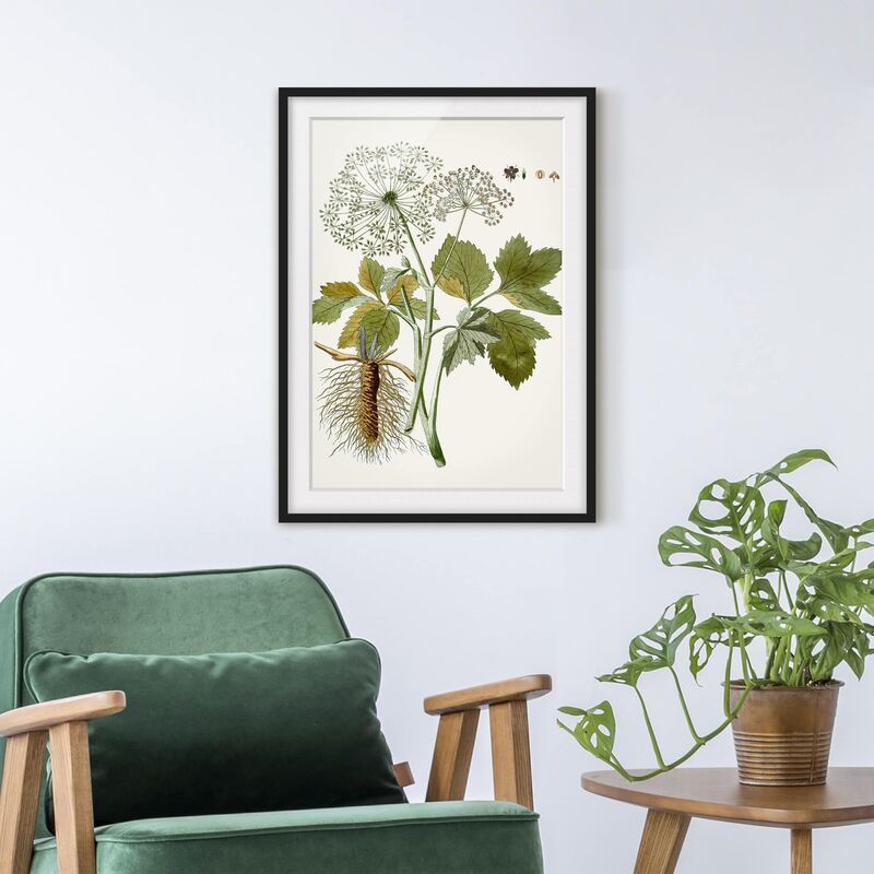 

Póster enmarcado - Erbe Selvatiche Schautfalel Iv Dimensión LxA: 100cm x 70cm, Marco: Negro
