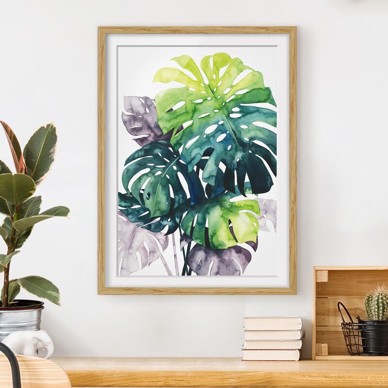 

Póster enmarcado - Exotic Fogliame - Monstera Dimensión LxA: 100cm x 70cm, Marco: Roble