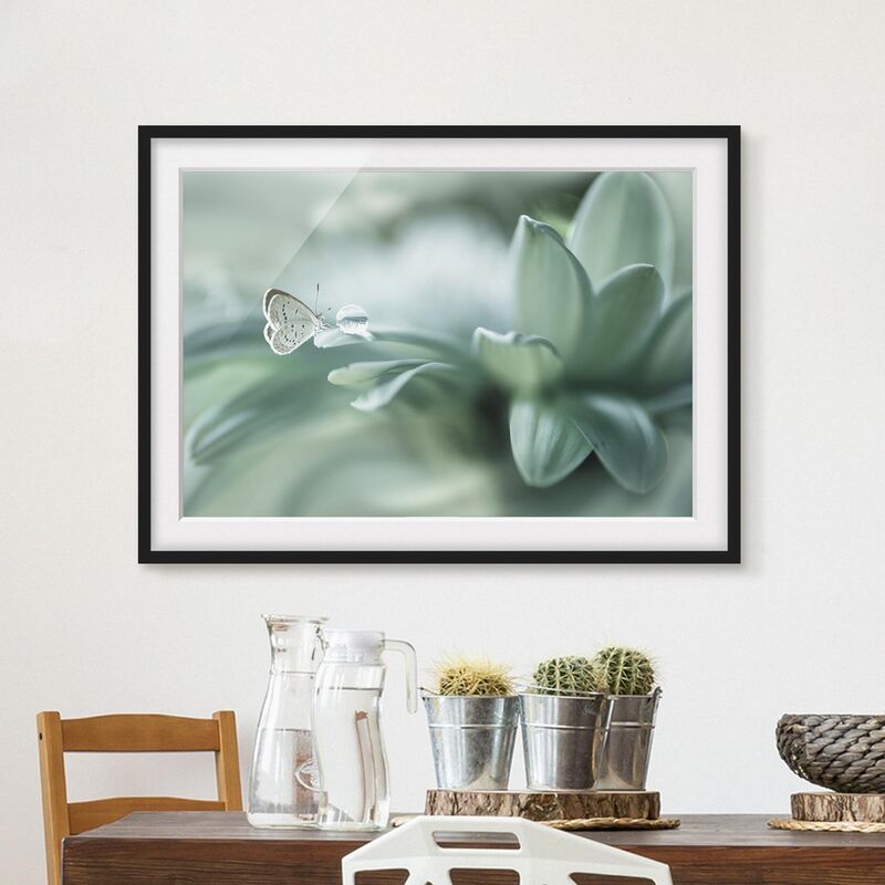 

Póster enmarcado - Farfalla E Gocce di rugiada In Pastel Verde Dimensión LxA: 50cm x 70cm, Marco: Negro