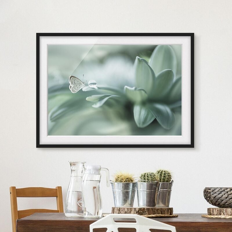 

Póster enmarcado - Farfalla E Gocce di rugiada In Pastel Verde Dimensión LxA: 18cm x 24cm, Marco: Negro