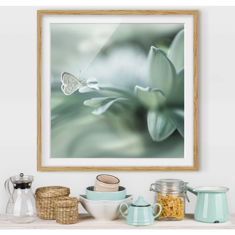 

Póster enmarcado - Farfalla E Gocce di rugiada In Pastel Verde Dimensión LxA: 20cm x 20cm, Marco: Roble