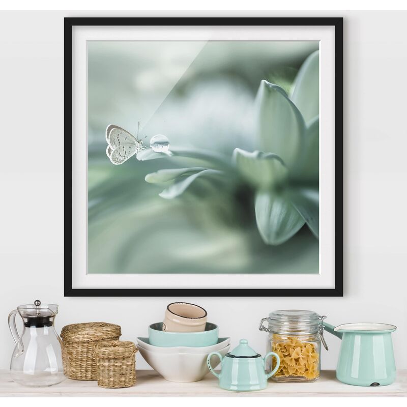 

Póster enmarcado - Farfalla E Gocce di rugiada In Pastel Verde Dimensión LxA: 30cm x 30cm, Marco: Negro