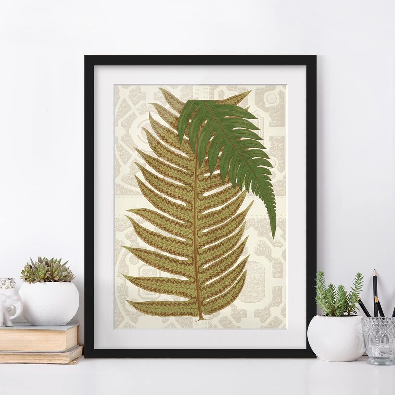 

Póster enmarcado - Felci Nel Giardino Ii Dimensión LxA: 70cm x 50cm, Marco: Negro