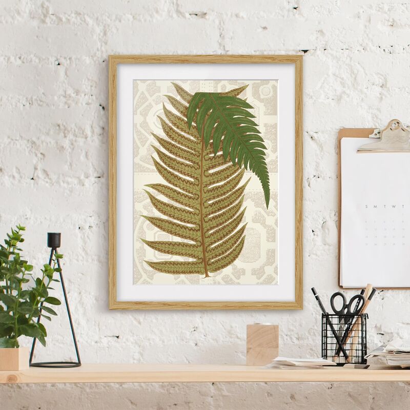 

Póster enmarcado - Felci Nel Giardino Ii Dimensión LxA: 70cm x 50cm, Marco: Roble