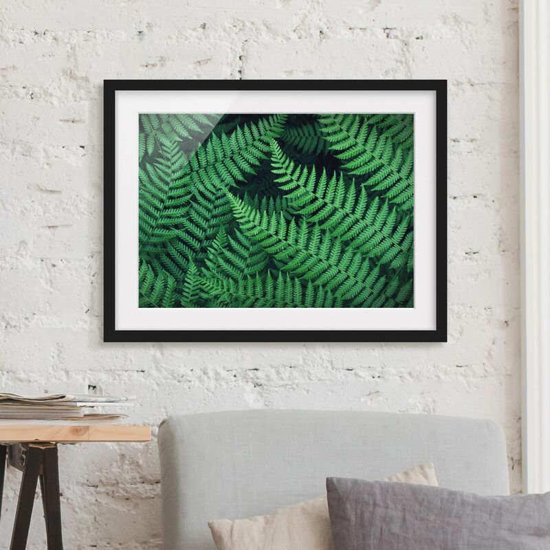 

Póster enmarcado - Fern Dimensión LxA: 40cm x 55cm, Marco: Negro