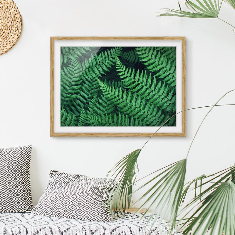 

Póster enmarcado - Fern Dimensión LxA: 18cm x 24cm, Marco: Roble