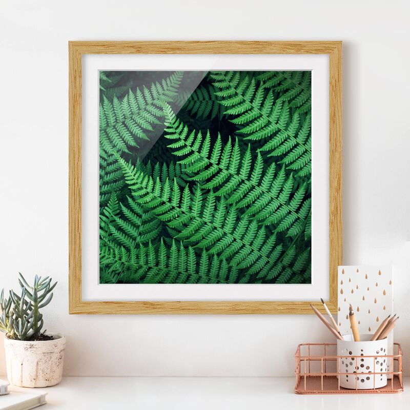 

Póster enmarcado - Fern Dimensión LxA: 20cm x 20cm, Marco: Roble