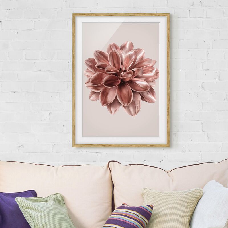 

Póster enmarcado - Fiore dalia in oro rosa metallico Dimensión LxA: 70cm x 50cm, Marco: Roble