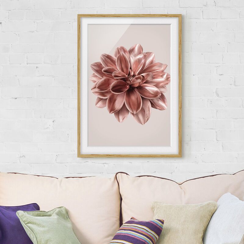 

Póster enmarcado - Fiore dalia in oro rosa metallico Dimensión LxA: 24cm x 18cm, Marco: Roble