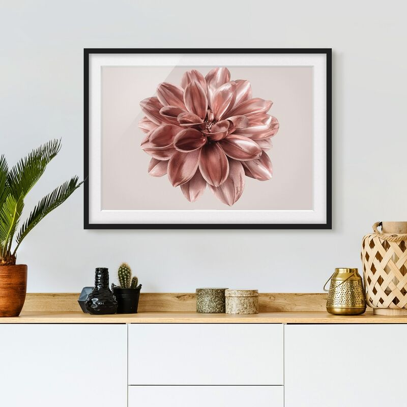 

Póster enmarcado - Fiore dalia in oro rosa metallico Dimensión LxA: 70cm x 100cm, Marco: Negro