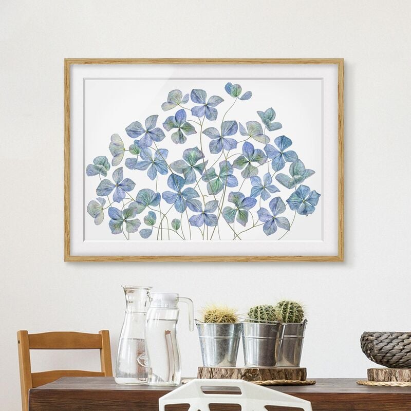 

Póster enmarcado - Fiori di ortensia blu Dimensión LxA: 40cm x 55cm, Marco: Roble