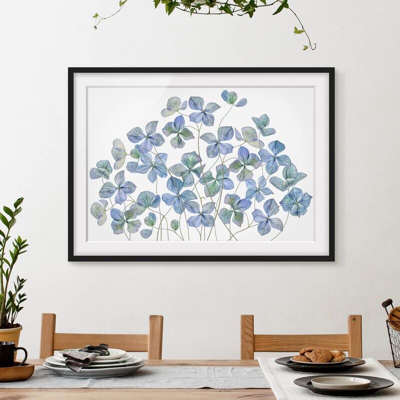 

Póster enmarcado - Fiori di ortensia blu Dimensión LxA: 70cm x 100cm, Marco: Negro