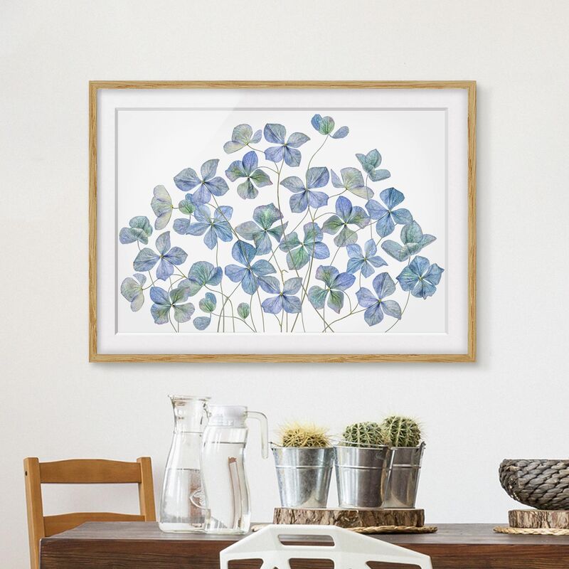 

Póster enmarcado - Fiori di ortensia blu Dimensión LxA: 70cm x 100cm, Marco: Roble