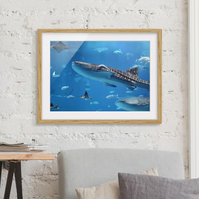 

Póster enmarcado - Fish In The Sea Dimensión LxA: 30cm x 40cm, Marco: Roble