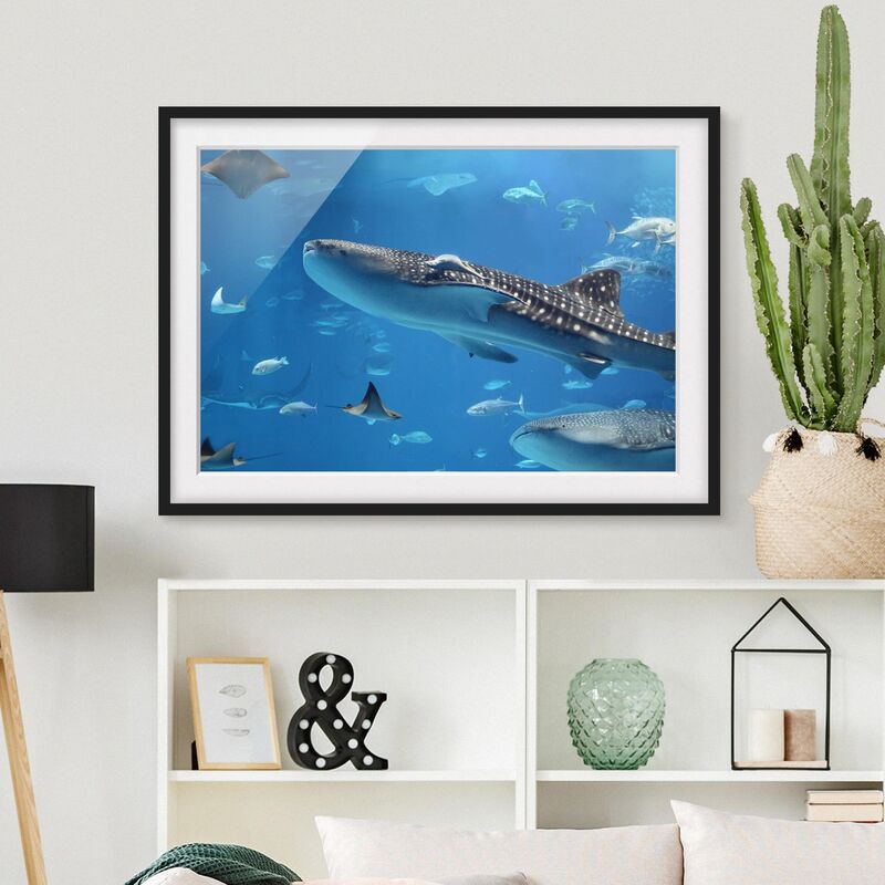 

Póster enmarcado - Fish In The Sea Dimensión LxA: 40cm x 55cm, Marco: Negro