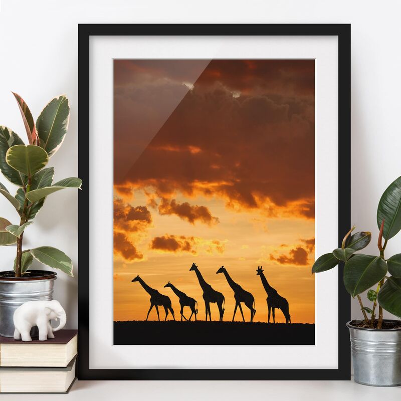 

Póster enmarcado - Five Giraffes Dimensión LxA: 24cm x 18cm, Marco: Negro