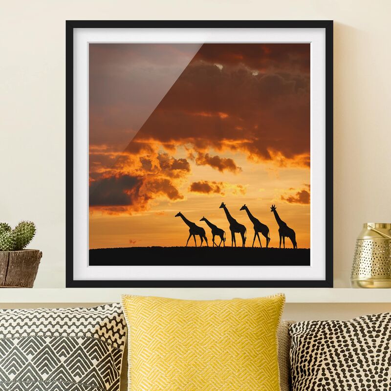 

Póster enmarcado - Five Giraffes Dimensión LxA: 20cm x 20cm, Marco: Negro