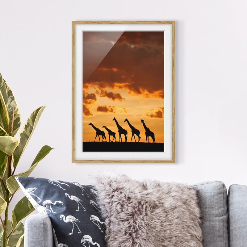 

Póster enmarcado - Five Giraffes Dimensión LxA: 55cm x 40cm, Marco: Roble