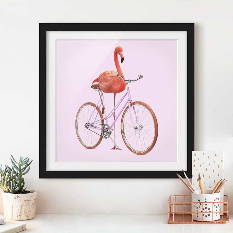 

Póster enmarcado - Flamingo con la bicicletta Dimensión LxA: 70cm x 70cm, Marco: Negro