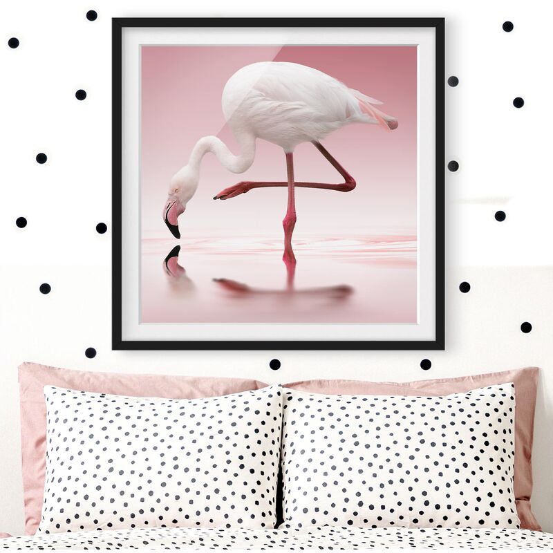 

Póster enmarcado - Flamingo Dance Dimensión LxA: 30cm x 30cm, Marco: Negro